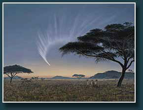 Thumbnail Comet McNaught over Serengeti
